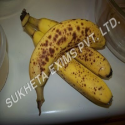 Half Ripe Banana Services in Aurangabad Maharashtra India